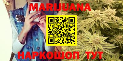 стафф Кингисепп