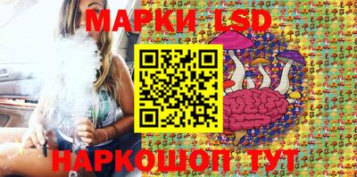 стафф Кингисепп