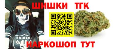 стафф Кингисепп