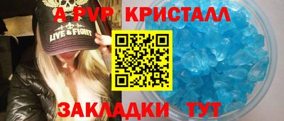стафф Кингисепп