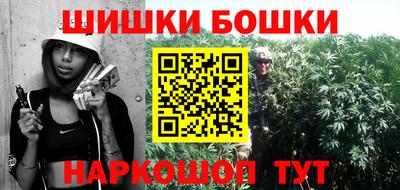 стафф Кингисепп