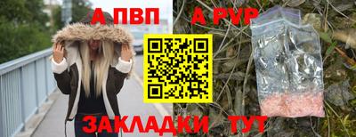 стафф Кингисепп