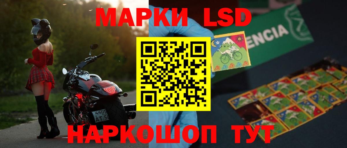 Альфа ПВП Котельники