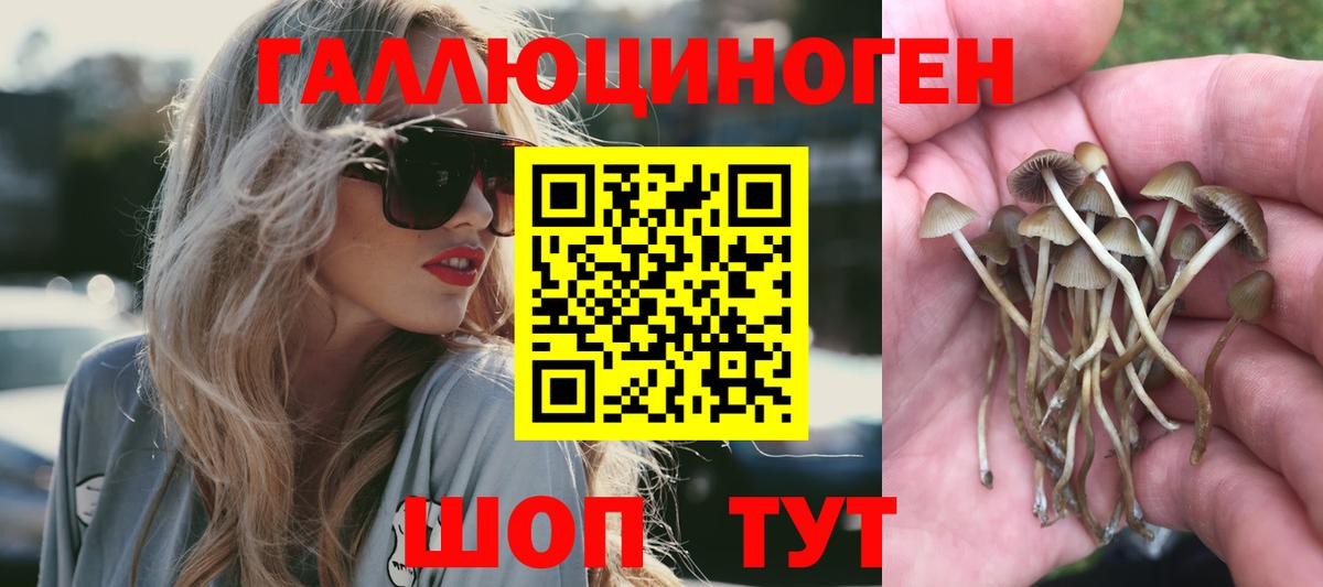 Галлюциногенные грибы ЛСД  Псилоцибиновые грибы мухоморы  Котельники  Вход с VPN 
